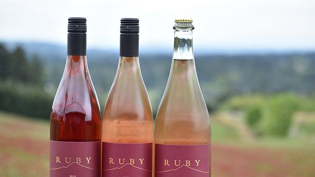Ruby Bay Vineyard