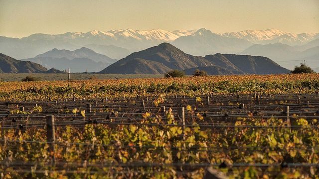 Unforgettable Wine Tasting at Chañarmuyo Wine Lodge