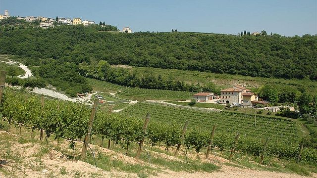 Boscaini Carlo Winery