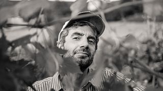 Journey Through Piedmont Wines at Alessandro Mo