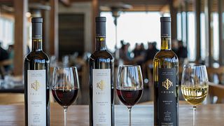 Degustazione di vini Idiom Blends presso Idiom Wines