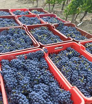 Cascina Orizzonte