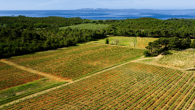 Domaine de la Sanglière