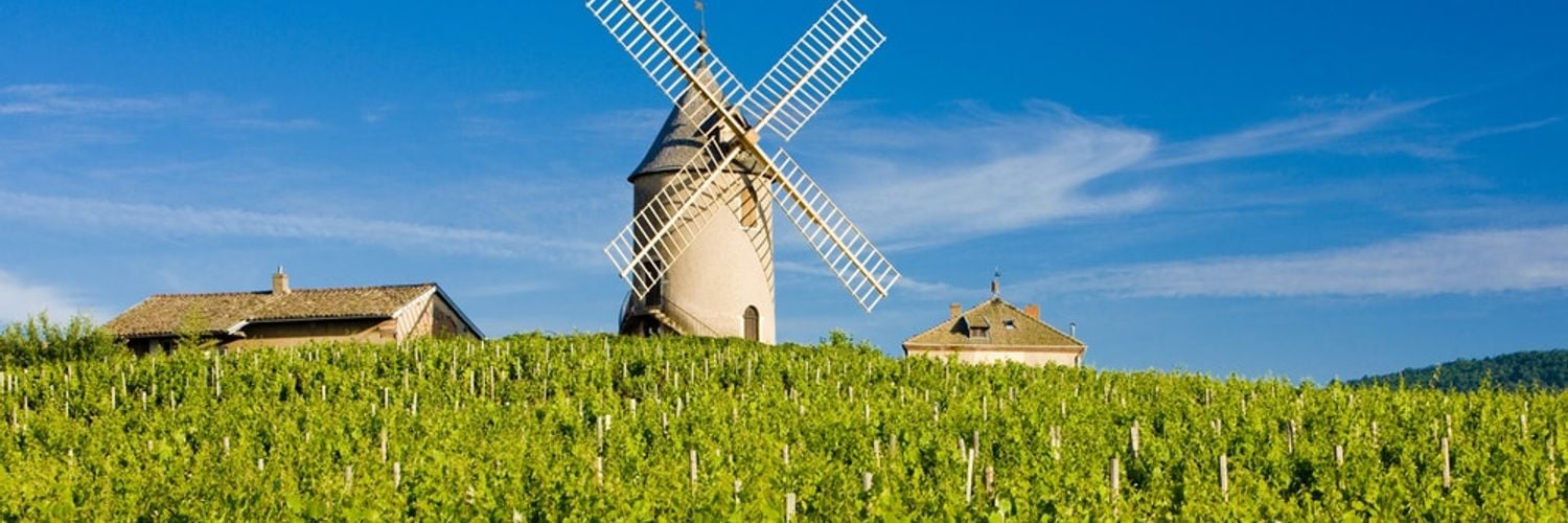 Vineyards-with-windmill-near-chC3A9nas-beaujolais-burgundy-france Svb35l