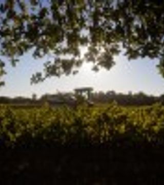 Visite et dégustation de vins