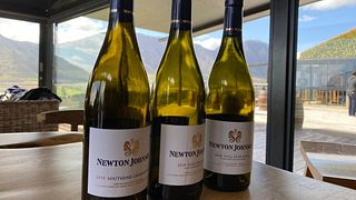 Visita e degustazione presso i vigneti della famiglia Newton Johnson