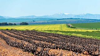 Degustação de vinhos e tour na Darling Cellars