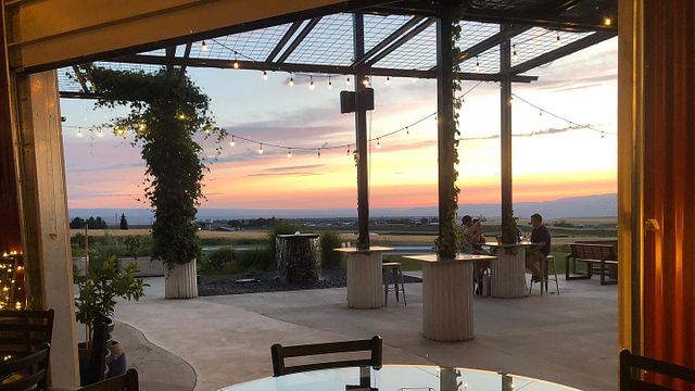 Lindsay Creek Vineyards