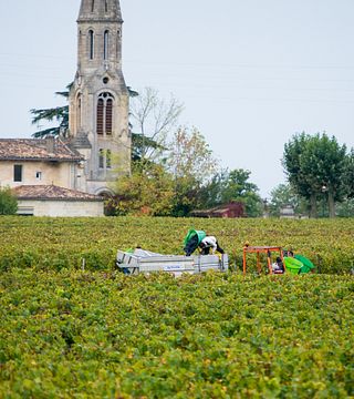 Degustazione di vini e tour popolari allo Chateau Siaurac