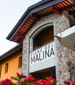 Vigne del Malina: A Taste of Friuli-Venezia Giulia