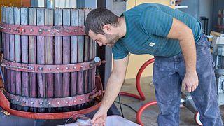 DÉGUSTATION DE VINS DE BASE