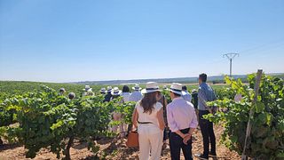 Weinbergwanderung, geführte Weinprobe, Schlossbesichtigung & exklusive Weinprobe
