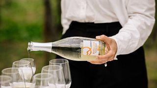 Degustação de vinhos e almoço