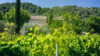 Domaine Des Peyre