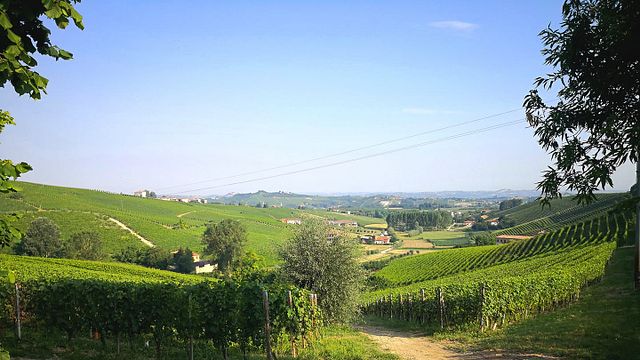 Explore a adega da vinícola Cascina Carlot