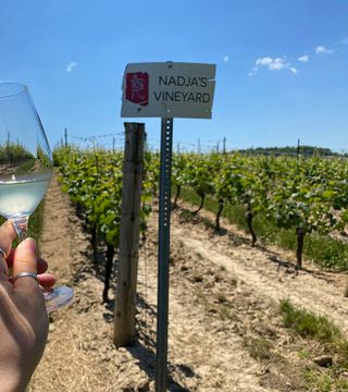 Degustazione di vini e visita alle cantine di Flat Rock