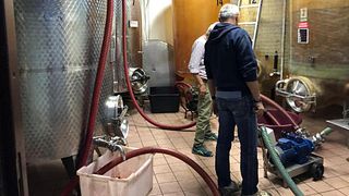 Weinprobe und Tour in der Azienda Agricola Oreste Stefano
