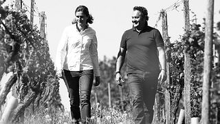 Weinprobe und Führung bei Matthias Dostert