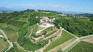 Degustação de vinhos clássicos e tour na Azienda Agricola Aldo Adami