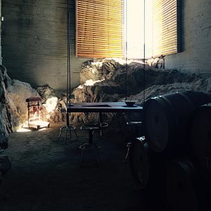 Dégustation de vins et visite du Clos De Tres Cantos