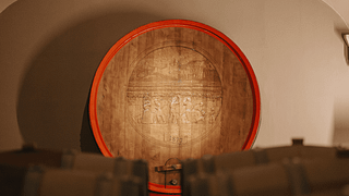 Seiterre - Tenuta San Leone