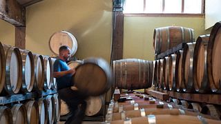 Degustação de vinhos e tour na Hamacher Wines