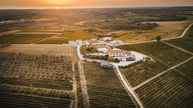 Degustação e visita à vinícola Cattunar na Ístria