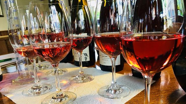 Degustazione di vini e visita alla Weingut Eymann
