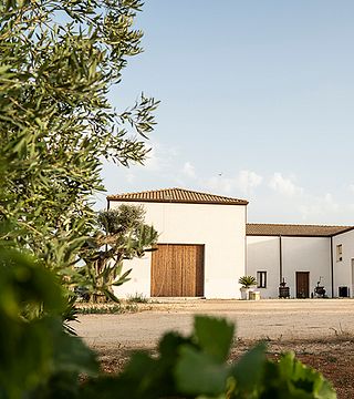 Pique-nique sur la pelouse | Visite et dégustation de vins à Augustali