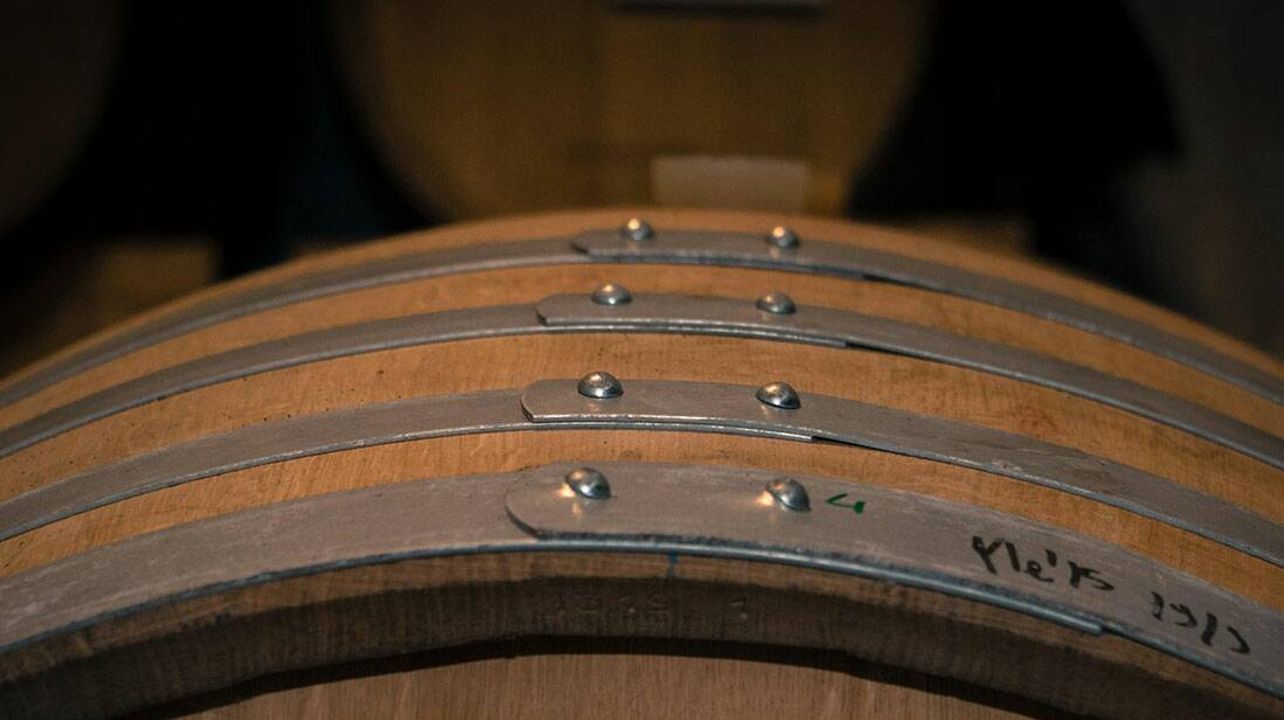 Friuli-Venezia Giulia: Le Due Torri Wine & Vineyard Journey