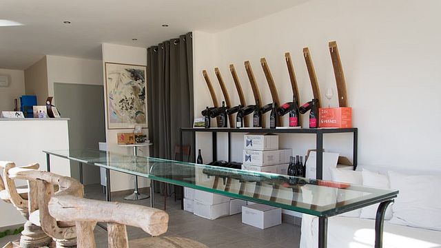 Wine Tasting and Tour at Château de Valflaunès