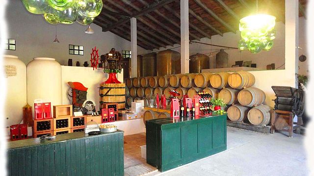 Bodegas Rivero: A Legacy of Winemaking