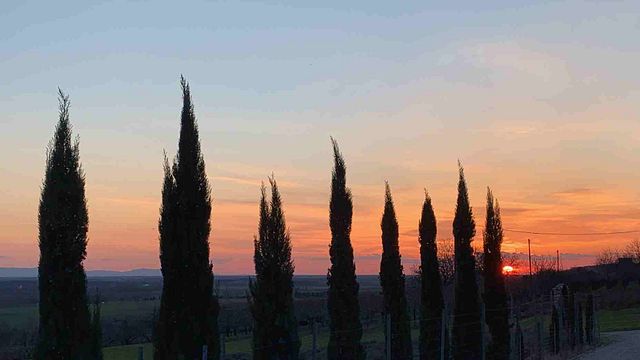 Degustazione di vini e tour presso la tenuta vinicola biologica Malatinszky Kúria
