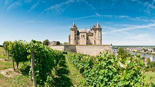 Descoberta do vinho Vouvray: visita ao vinhedo e viagem de degustação saindo de Tours