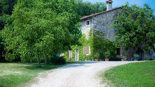 Tour Veneto Vineyards & Winemaking at Dalle Ore