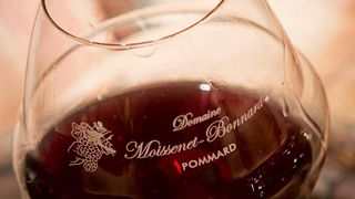 Dégustation de vins populaires au Domaine Moissenet-Bonnard
