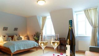 Dégustation de vins et visite au Weingut Norbert Bauer