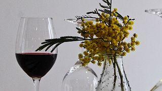 Dégustation de vins chez Stockman's Ridge Wines