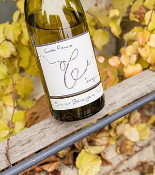 Dégustation de vins premium au Domaine Thill