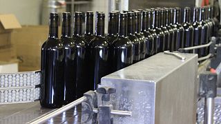 Cata de vinos y visita guiada a I Girasoli Di Sant'andrea