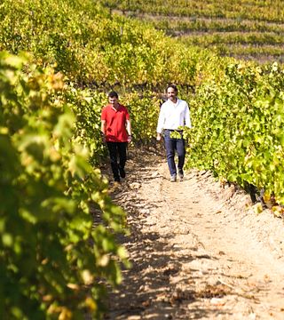 Quinta Vale d'Aldeia: Exceptional Wines from the Douro Valley