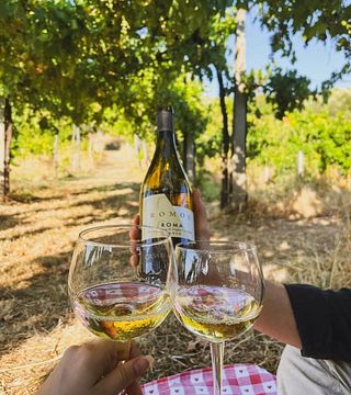 Dégustation de vins et visite à Casale Mattia