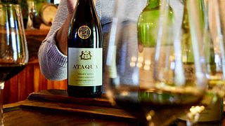 Discover Others: PaardenKloof Wine Journey