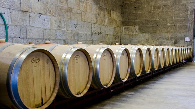 Dégustation de vins et visite à Quinta Da Sequeira