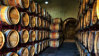 Bodega Diez-Caballero - ¡Visita nuestra bodega con sus calados del siglo XVII y prueba nuestros vinos!