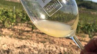 Catalonia Cava Tour & Tasting at Cavas Ferret