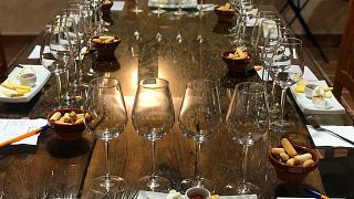 Bodega Sarmentero: A Hidden Gem in Ribera del Duero