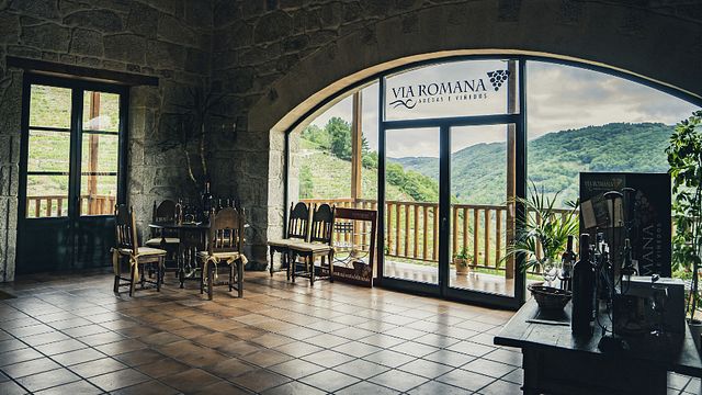 Vía Romana Adegas E Viñedos