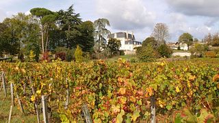 Weinprobe und Führung im Château Beauséjour