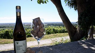 Dégustation de vins et visite à la Cantina Tamburino Sardo Di Fasoli Adriano & Figli